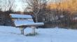 Park Bench Djurgarden 